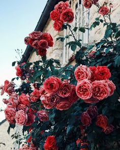 2b5ae6fad357af131773747cad9f0ef5