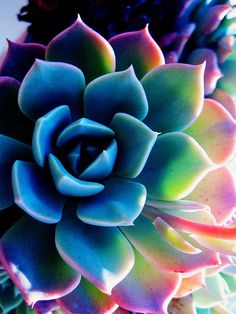 f6b04e90b1b413de14a12a564954b2d1