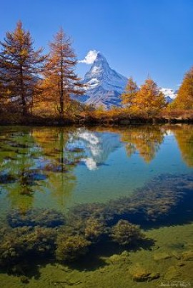 La nature, notre poumon