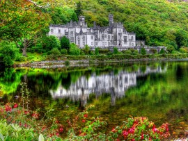 From Iraq to Ireland: Heather Flowers and Mutual Human Experiences