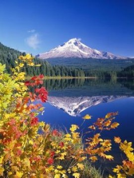 Why We Need Big Holistic Wilderness