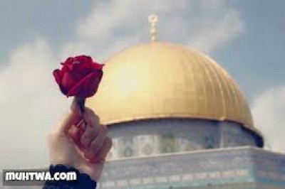 فلسطين... قصتي منذ الطفولة