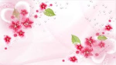 عندما تختلط الأدوار علي المسلمة