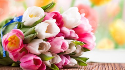 وحدة مترامية الأطراف