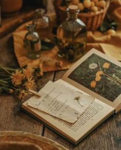 Le droit de la musulmane au divorce*
