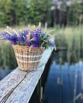 La Nature, Mon Oxygène