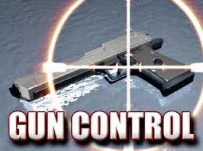 Whatever Happened to Gun Control ?