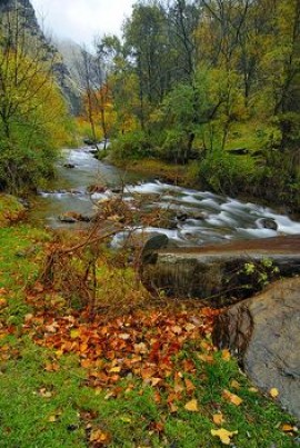 Advice to Muslims on the Means of Attaining Chastity