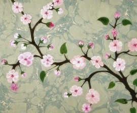 شباب حائر (1)