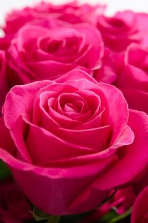 هم من الآن يروجون للرواية المضادة لنصرنا فلا يجب ان ننساق خلف إدعاءتهم...نصف الحرب في الإعلام