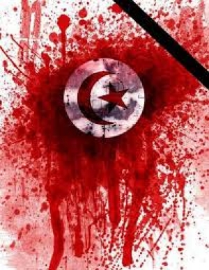 في الذكري الأولي لإنتصار الثورة التونسية