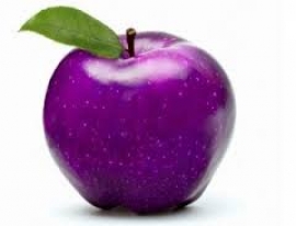 Pomme Violette