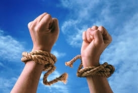 Born Free