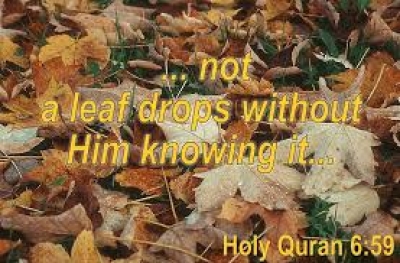 Determine your finality (2): The FINALITY in the Quran