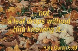 Determine your finality (2): The FINALITY in the Quran