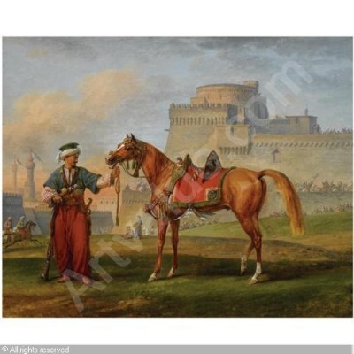 Who Were the Mamluks ?