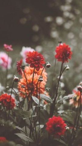 4 Simple Ways for Governments to Be More Environmentally Friendly