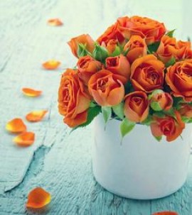 المعلم المقاتل سليمان باشا الباروني.. بطولات آخر أيام الخلافة العثمانية