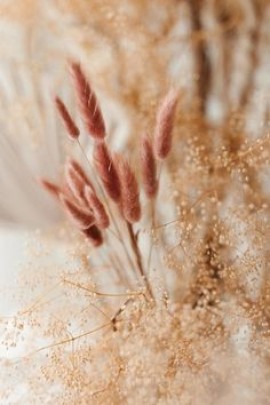 الحضارة علي درب ورشة