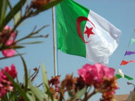 مفارقات بين أصالة الشعب و ضحالة النخبة
