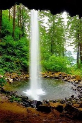 فقه الدعوة و فقه الرفق