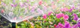 الروح وميلاد الحضارة