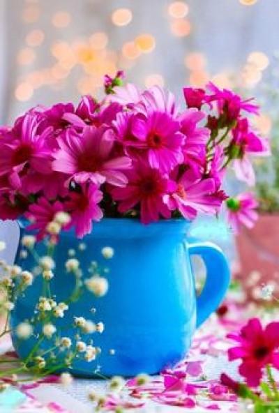 عائلة رسول الحق عليه الصلاة و السلام في العصر الحديث...تصحيح مفاهيم خاطئة