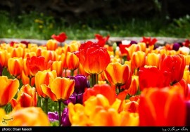 Une princesse à cheval