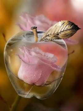 Chams Al-hakh première présidente de l&#039;Algérie et Najm eddine juge suprême de l&#039;Algérie 30