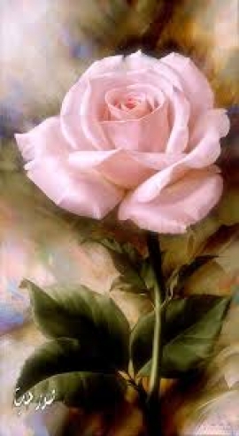بر وبراءة