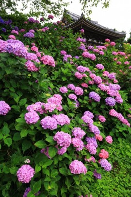 Le code vestimentaire musulman pour l&#039;homme et la femme