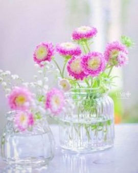 عمر راسم بين نخبة عصره