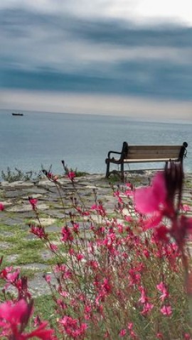 Le sens social de l&#039;Aïd El-Fitr