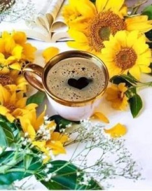 هذه هي الحياة...