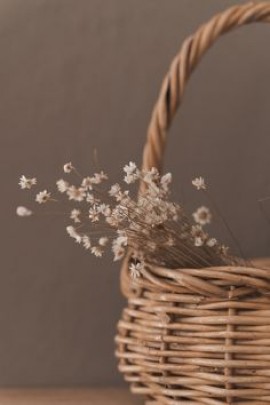 La photo d&#039;une femme sans voile!