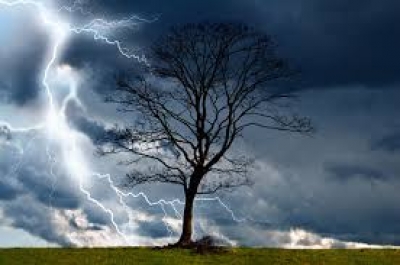 The Storm Blowing From Paradise