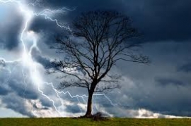 The Storm Blowing From Paradise