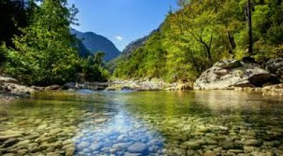 A transition in nature, too
