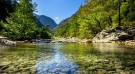 A transition in nature, too