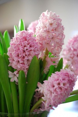 ظواهر سلبية