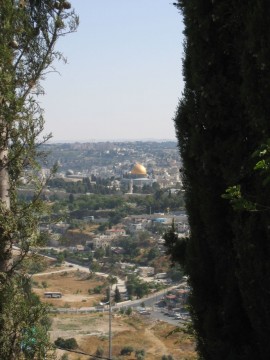 أطفالنا و القدس