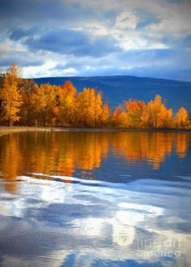 La Camée de la Princesse voilée 11