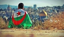 هل نسينا فلسطين أرضنا السليبة...؟