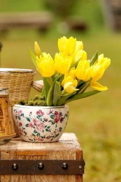 عرض كتاب السياسات المبنية على البراهين والبحوث الموجهة نحو السياسات