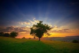 How do we receive Ramadan ?