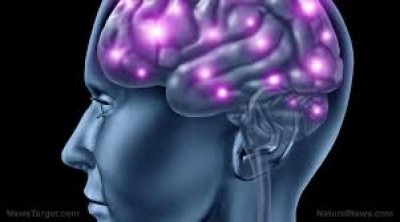 CERVEAU : PEUT-ON VIVRE SANS CORPS CALLEUX ?