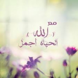 الحياة التي ننشدها