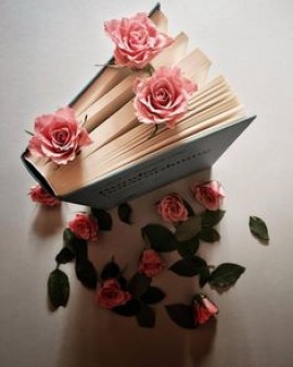 هذا النص كتبته في 2 يناير 2019 عن فساد نظام الرئيس بوتفليقة