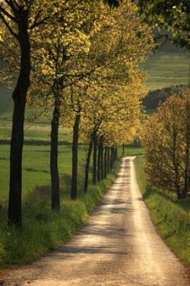 Non les &quot;j&#039;aime&quot; n&#039;ont jamais dictés leurs lignes au site de natharatmouchrika.net
