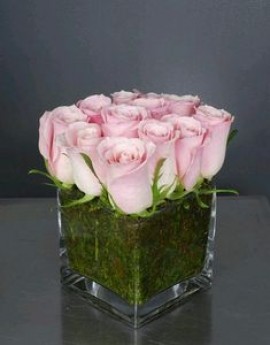 Black Lives Matter, le renouveau militant